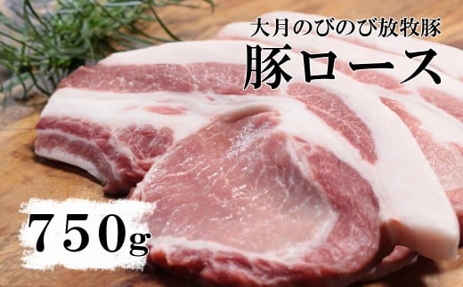 大月のびのび放牧豚【カツ・ステーキ用ロース】750g 以上(約150g×5)   豚肉 豚 ポーク ロース お肉 肉 山梨 やまなし 富士川町 2298651 - 山梨県富士川町