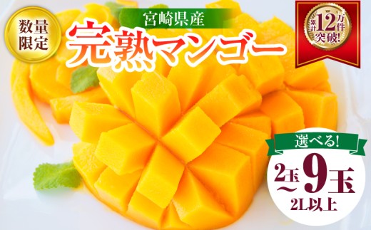 リピーター続出!!≪玉数が選べる≫宮崎県産 完熟 マンゴー 2L以上 令和8年発送分 数量限定 フルーツ 果物 果汁 希少 濃厚 ジューシー 贅沢 ご褒美 お祝い 人気 国産 食品 おやつ デザート 産地直送 おすすめ 贈り物 贈答 ギフト プレゼント 日南市 送料無料_S-C123-24