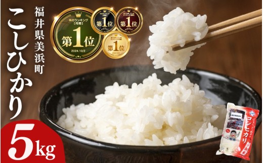 【先行予約】【令和7年産】米 コシヒカリ 5kg × 1袋 精米 福井県美浜町産【2026年1月下旬発送予定】 [m60-a017_01] 1172878 - 福井県美浜町