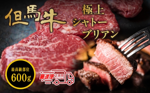 但馬牛 シャトーブリアン 150g×4個 600g　但馬牛 シャトーブリアン 高級和牛 シャトーブリアン ギフト 肉 小分け 冷凍 大容量 2229918 - 兵庫県丹波篠山市