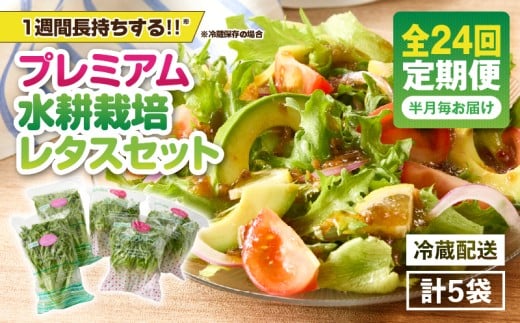 1629-2 【全24回定期便】洗わずに食べられる プレミアム水耕栽培レタスセット（計5袋）　KN064-T04
