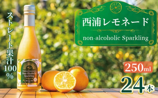 西浦 レモネード スパークリング ジュース ストレート 果汁 100％ 250ml×24本 希少 柑橘 飲み物 かんきつ 人気 贈答用 静岡 沼津