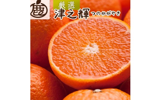 ［先行予約］厳選 津之輝2.5kg+250g（傷み補償分）［つのかがやき］［せとかに似た柑橘］［光センサー選果］［IKE56］ 1444862 - 和歌山県九度山町