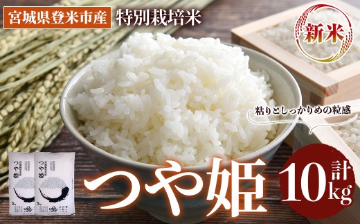 [先行予約!2025年10月以降順次発送予定]≪令和7年産 新米≫ 特別栽培米 つや姫 10kg (5kg×2袋) 登米市産 お米 おこめ 米 コメ 白米 ご飯 ごはん おにぎり お弁当 [登米ライスサービス株式会社]tm155