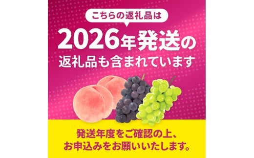 優秀品　シャインマスカット　産地直送　数量限定　山梨 pd_71e1aebed5306dd2047eaeb7065