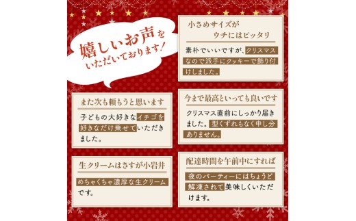 岩手県雫石町のふるさと納税 【 2025年 12月23日お届け】 小岩井農場 クリスマスケーキ クリーム ケーキ 4号 ペア セット 先行予約 ／ オーナメント クリスマス ケーキ 2台 ２台 ホールケーキ クリームケーキ ホワイトケーキ チョコレートケーキ お取り寄せ スイーツ デザート ４号 四号 人気 早い者勝ち 冷凍発送 期間限定 数量限定 有名 予約 予約受付 おすすめ