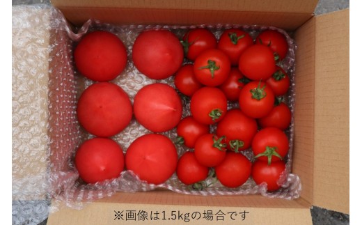 北海道壮瞥町のふるさと納税 北海道壮瞥町産 トマト食べ比べ2種セット1.5kg(ラビットゴッホ＆ルネッサンス)【 ふるさと納税 人気 おすすめ ランキング トマト とまと 野菜 ラビットゴッホ ルネッサンス 中玉トマト フルーツトマト フルーツ ミニトマト 甘い 糖度 美味しい 完熟 グルメ サラダ スライス 産地直送 北海道産 北海道 壮瞥町 送料無料 】 SBTAJ012