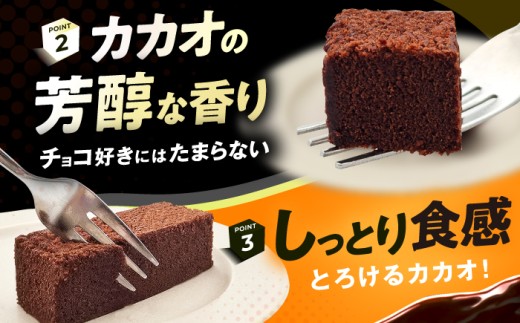 ブラウニー チョコレート 訳あり スティック ケーキ
