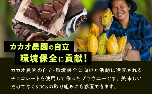 ブラウニー チョコレート 訳あり スティック ケーキ
