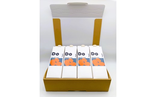 「Do coffee」自家焙煎アイスコーヒー(無糖)1000ml 4本ギフト  コース