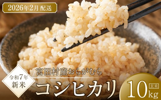 【予約受付】【令和７年米】【新米】長野県宮田村産コシヒカリ／玄米／10kg・20,000円／令和８年2月配送 1256509 - 長野県宮田村