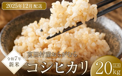 【予約受付】【令和７年米】【新米】長野県宮田村産コシヒカリ／玄米／20kg・40,000円／12月配送 1256517 - 長野県宮田村