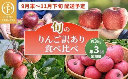【訳あり】【3回定期便】旬のりんご訳あり約3kg食べ比べ 秋映 シナノスイート シナノホッペ サンふじ ［おぶせファーマーズ］ 不揃い 規格外 家庭用 果物 フルーツ りんご 林檎 リンゴ 長野県産 信州産 令和7年産 【2025年9月末〜11月下旬】 ［F-68］