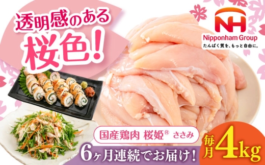 【全6回定期便】桜姫 ささみ 計4kg（2kg×2パック）《厚真町》【東日本フード株式会社】 桜姫 国産鶏肉 鶏肉 鶏 とり肉 ささみ ササミ 冷凍 北海道 [AXBM074] 2193485 - 北海道厚真町
