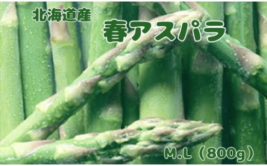 [2026年春発送]刀祢農園の朝採り春アスパラ M〜L(800g) グリーンアスパラ 朝採れ 農家直送 新鮮 甘い 春野菜 旬野菜 特産品 北海道産