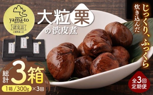 【全3回定期便】【7月～9月冷蔵配送】栗 渋皮煮 甘露煮 大粒 計300g 150g × 2袋 3Lサイズ 熊本県産 山都町産【食彩の里 ふしみ】[YAG011]  1034729 - 熊本県山都町