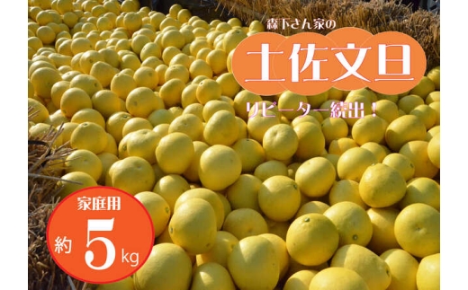 【先行予約受付中 2026年発送】森下さん家の(家庭用)土佐文旦(約5kg/8~12玉) フルーツ 果物 新鮮 柑橘 1048238 - 高知県越知町