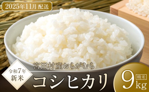 【予約受付】【令和７年米】【新米】長野県宮田村産コシヒカリ／精米／9kg・20,000円／11月配送 1256511 - 長野県宮田村