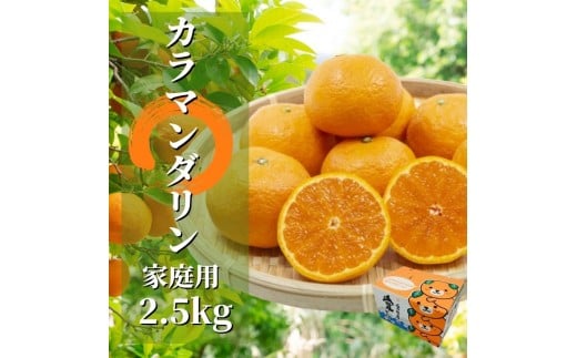 【先行予約】 カラマンダリン 家庭用 約2.5kg 【4月下旬頃より発送】 | 愛媛 みかん 先行予約 柑橘 お取り寄せ グルメ 期間限定 数量限定 人気 おすすめ 愛媛県 松山市