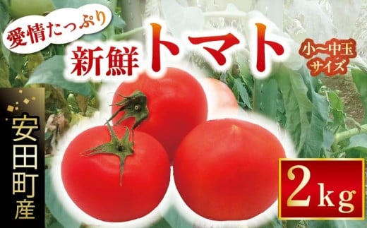 【2025年10月下旬より発送】安田町産 愛情たっぷり新鮮トマト2kg 先行受付 完熟 トマト 高知県産 2kg 産地直送 新鮮 もぎたて 人気 野菜 とまと 栄養 ヘルシー 高知 安田町  TR-11 1384022 - 高知県安田町