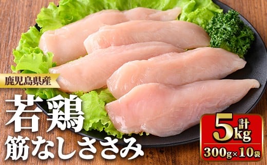 y534 鹿児島県産若鶏筋なしささみ(計5kg・250g×20袋) 国産 九州産 鹿児島県産 鶏肉 鳥肉 鶏 とり 若鶏 冷凍 ささみ ササミ 筋なし 小分け 真空 【TRINITY】 2243296 - 鹿児島県湧水町