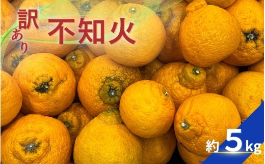 【訳あり】不知火 約5kg 【2026年2月中旬～4月中旬ごろ順次発送予定（お届け日指定不可）】 不知火 みかん ミカン 柑橘 フルーツ 果物 くだもの 人気 旬 産地直送【CE-nuk177】 2230469 - 和歌山県かつらぎ町
