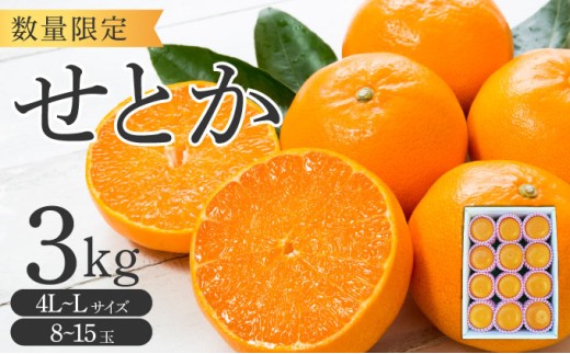 KU250 せとか3kg（8～15玉）化粧箱付き