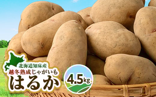 北海道しれとこ越冬熟成じゃがいも はるか 4.5kg 【1486948】 1245938 - 北海道斜里町