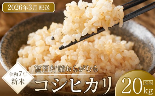 【予約受付】【令和７年米】【新米】長野県宮田村産コシヒカリ／玄米／20kg・40,000円／令和８年3月配送 1256520 - 長野県宮田村