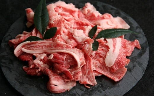 訳あり 能登牛 切り落とし 500g とろける 食感 希少 ブランド和牛 簡易包装 冷凍 石川 羽咋 能登 国産 能登半島 災害支援 復興支援 災害復興