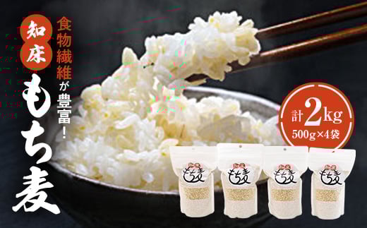 知床もち麦(500g×4袋)2Kg【1274621】 1072640 - 北海道斜里町