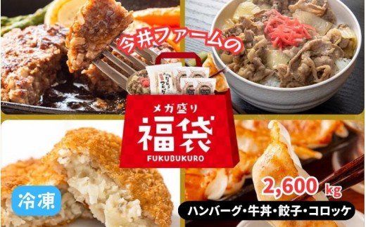 今井ファームのメガ盛り冷凍福袋【ハンバーグ・牛丼・餃子・コロッケ】