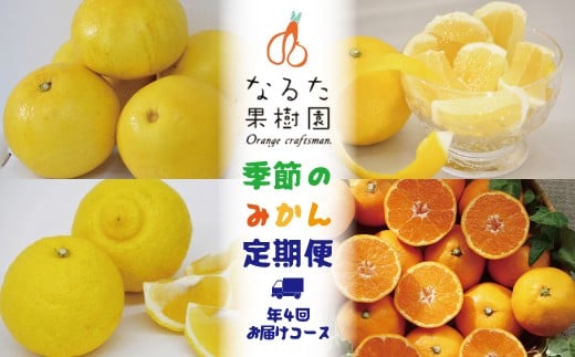 なるた果樹園季節のみかん定期便(年4回お届けコース) 786940 - 高知県宿毛市