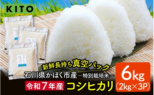 【先行予約 令和7年産】石川県かほく市産 こしひかり 6kg（2kg × 3袋） 特別栽培米【2025年10月より順次発送】