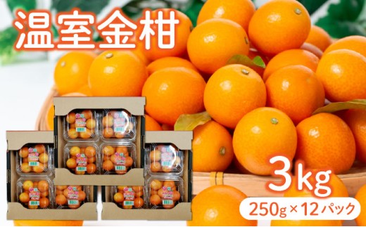KU434 【先行予約】温室金柑3kg(250g×12パック) 2231586 - 宮崎県串間市