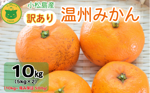 【2025年11月順次発送】 訳あり みかん 温州みかん10kg（10kg+傷み保証500g） ミカン 蜜柑 甘い フルーツ 柑橘 ジュース 小松島市 オススメ 人気 ふるさと納税 5kg 10kg 2218414 - 徳島県小松島市