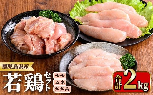 y536 鹿児島県産若鶏セット(合計2kg・もも、むね、ささみ) 国産 九州産 鹿児島県産 鶏肉 鳥肉 鶏 とり 若鶏 冷凍 もも むね ささみ ササミ 筋なし セット 詰め合わせ 小分け 真空 【TRINITY】 2243299 - 鹿児島県湧水町