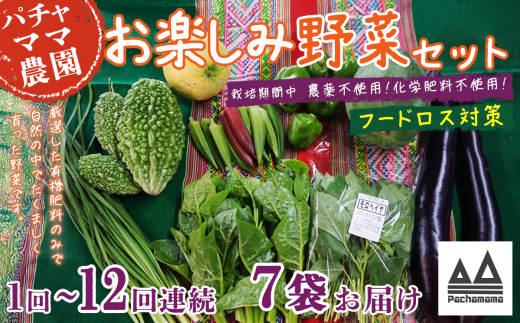 [ 選べる お届け回数 ][ 訳あり ]お楽しみ野菜セット ( 7袋 )[ フードロス対策 ][ 定期便 野菜 詰め合わせ お任せ 訳あり フードロス 季節物 セット 山芋 パセリ かぶ 人参 里芋 たまねぎ 玉ねぎ ルッコラ ほうれん草 春菊 大根 芽キャベツ レタス じゃがいも さつまいも とうもろこし そら豆 枝豆 パクチー ビーツ ほうれん草 キャベツ ピーマン なすトマト かぼちゃ ]