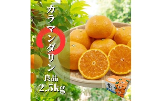 【先行予約】 カラマンダリン 良品 約2.5kg 【4月下旬頃より発送】 | 愛媛 みかん 先行予約 柑橘 お取り寄せ グルメ 期間限定 数量限定 人気 おすすめ 愛媛県 松山市