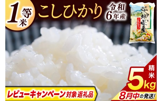 ＼レビューキャンペーン対象 在庫わずか/★1等米★ コシヒカリ 5kg (5kg × 1袋)[令和6年産]米 精米 白米 こしひかり 茨城県 鹿嶋市 国産 送料無料 お米 ごはん おにぎり 冷めても 美味しい 粘り うまみ 厳選 出荷直前精米 ツヤ かおり うまい(KY-19)