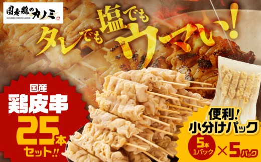 国産 鶏皮串 25本セット（5本×5パック）　KN077-002-01 2236029 - 鹿児島県鹿屋市