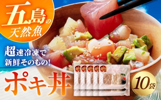 おまかせ旬魚のゴトポキ10パック(10食)セット 五島市/金沢鮮魚 [PEP060] 2230285 - 長崎県五島市