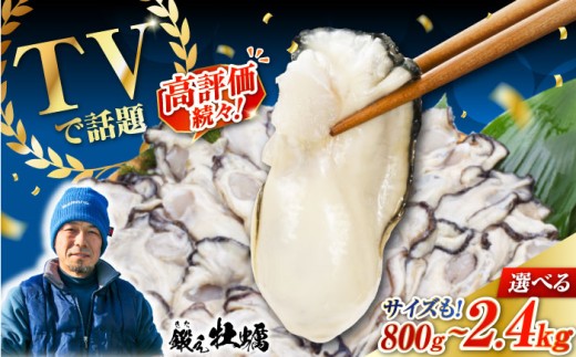 他の牡蠣とは味がちがう![冷凍] 大粒 牡蠣 鍛え牡蠣 むき身 Mサイズ(冷凍)計3kg 牡蠣 広島 かき むき身料理 簡単 江田島市/有限会社寺本水産 [XAE023] 牡蠣 生食 冷凍 むき身 殻付き 殻付 殻 かき カキ 生牡蠣 広島牡蠣 オイスター カキフライ 魚介類 魚介 貝類 海鮮 広島県産 国産 産地直送 贈答 ギフト 特産品