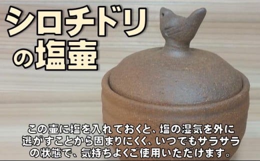 ［1489］シロチドリの塩壷