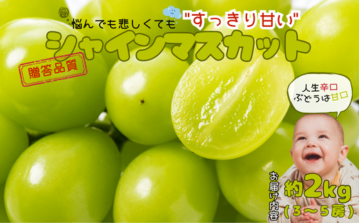 ⭐︎あんころりん⭐︎野田産業　TET-CNR120 ※送料込みです※ ロータリエンコーダ | HEIDENHAIN