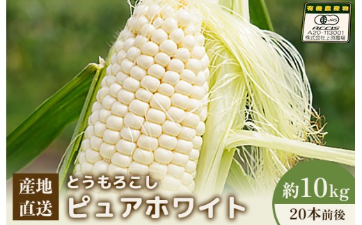 【先行予約】上原農場直送　有機栽培とうもろこし (ピュアホワイト) 約10kg 約20本前後