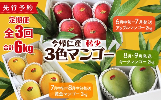 【定期便】稀少3色マンゴー(赤・黄・緑)【赤:6月中旬~7月頃 黄:7月中旬~8月中旬頃 緑:8月~9月頃発送】生産者直送