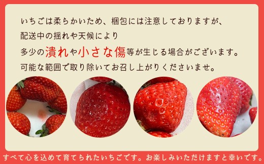 福岡県東峰村のふるさと納税 2VB6 【福岡県産あまおう】訳あり  グランデ　約270ｇ前後×6Ｐ