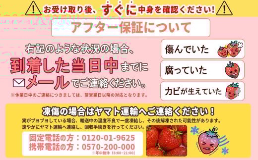 福岡県東峰村のふるさと納税 2VB6 【福岡県産あまおう】訳あり  グランデ　約270ｇ前後×6Ｐ