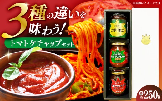 ケチャップセット3種 [リサトマトケチャップ・リサケチャップブラック・大人のナポリタン]各約250g / ケチャップ セット リサトマト トマト ナポリタン 調味料 とまと 高知[株式会社 堀] [ATDA009]